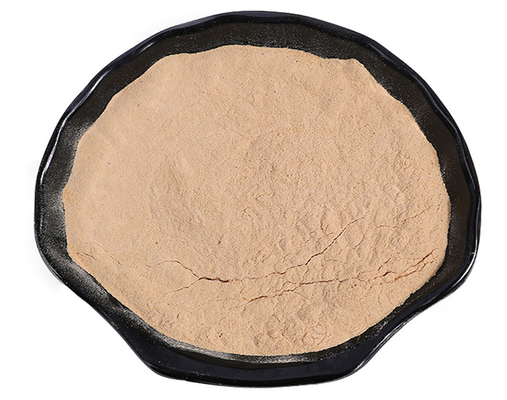 Willow Bark Extract Powder blanche naturelle 80 Mesh For Dietary Supplement